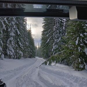 Meet your Posher, Fenix